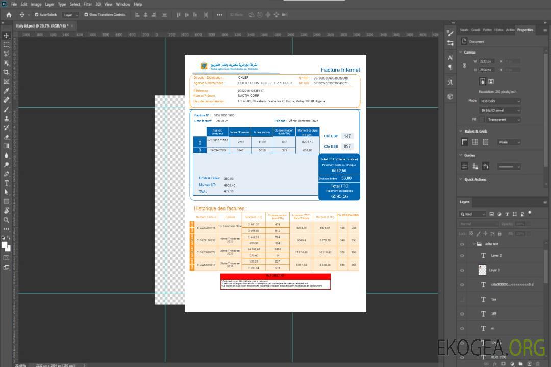 Algérie Société Algérien Distribution facture de services publics pour les entreprises Internet Modèle Word et PDF template